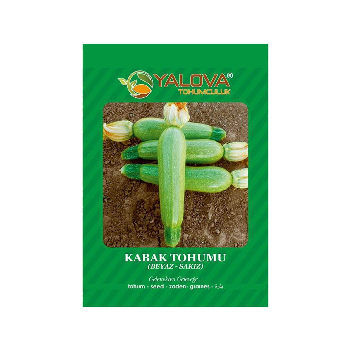 Yalova Dolmalık Kabak Tohumu (BTK.00886)