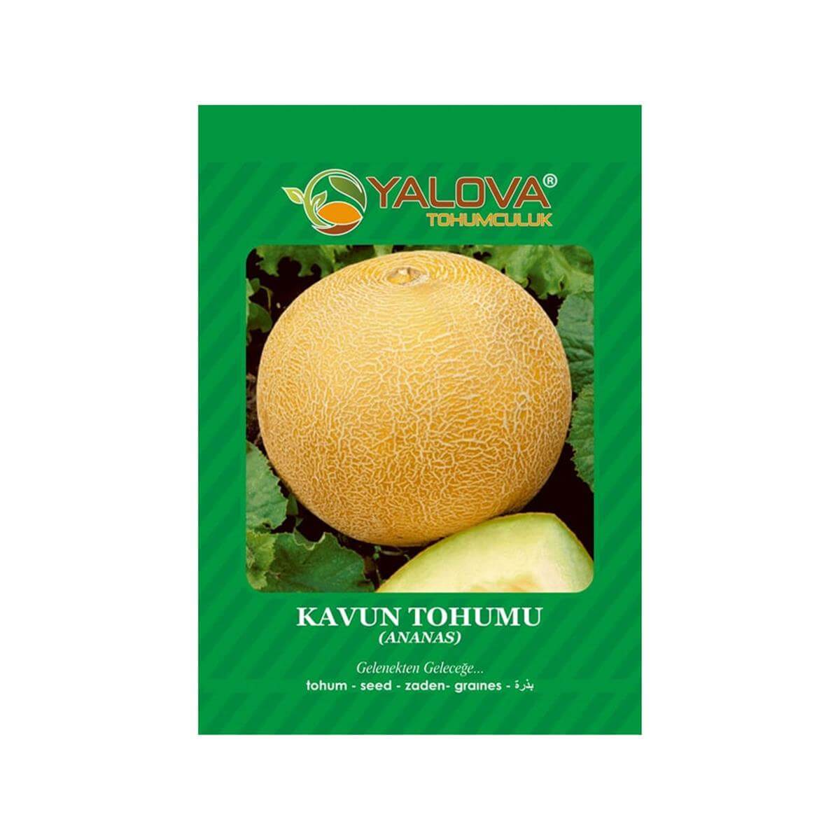 Yalova Kavun Tohumu (BTK.00992)