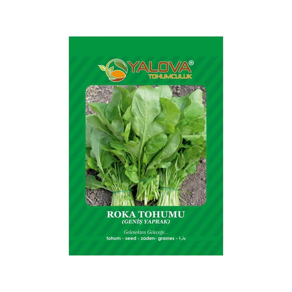 Yalova Roka Tohumu (BTK.01036)