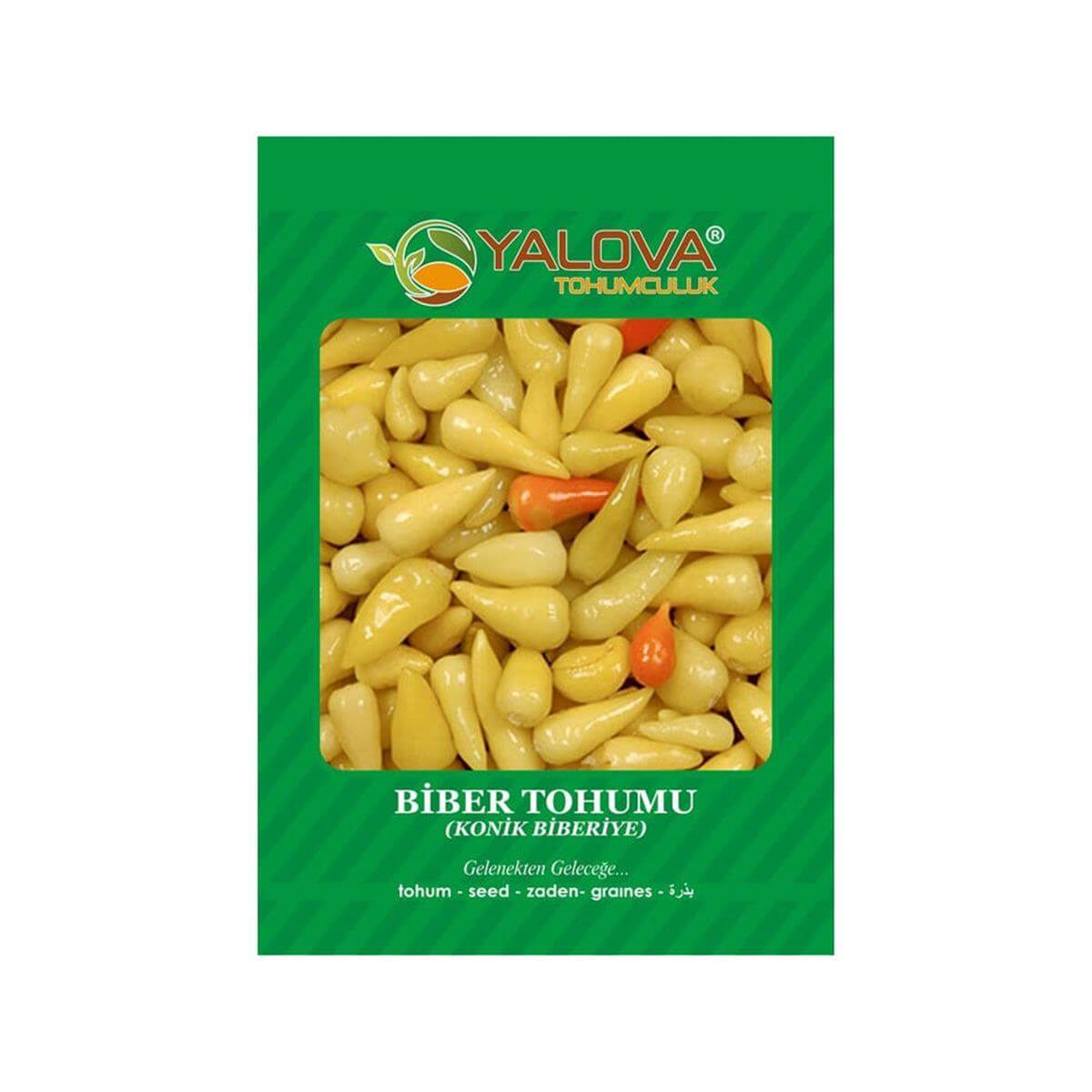 Yalova Biber Biberiye Tohumu (BTK.00879)