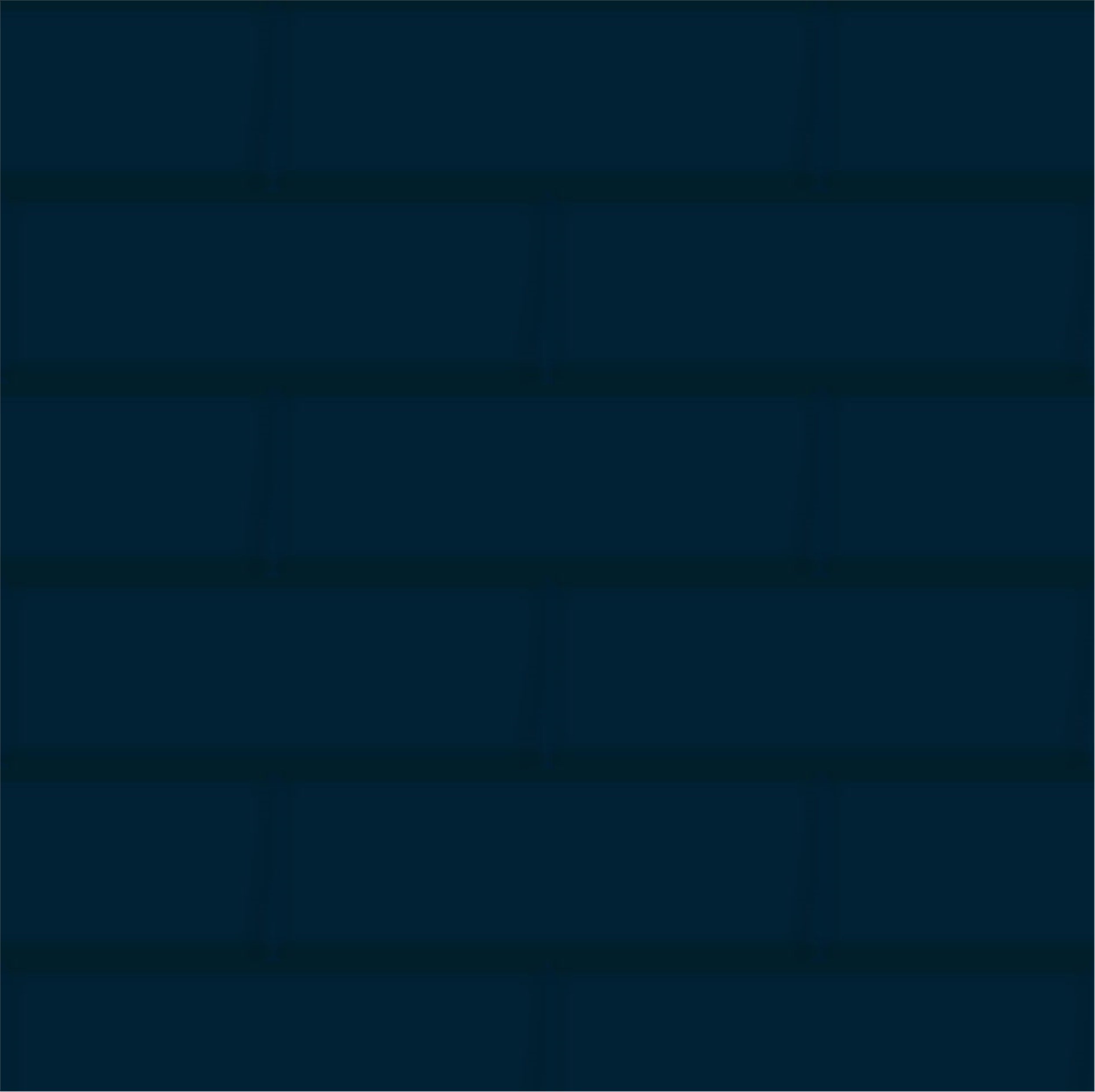 EGE Seramik Diamante Mavi 10x30 cm Granit (EGE.100X300DMT96)