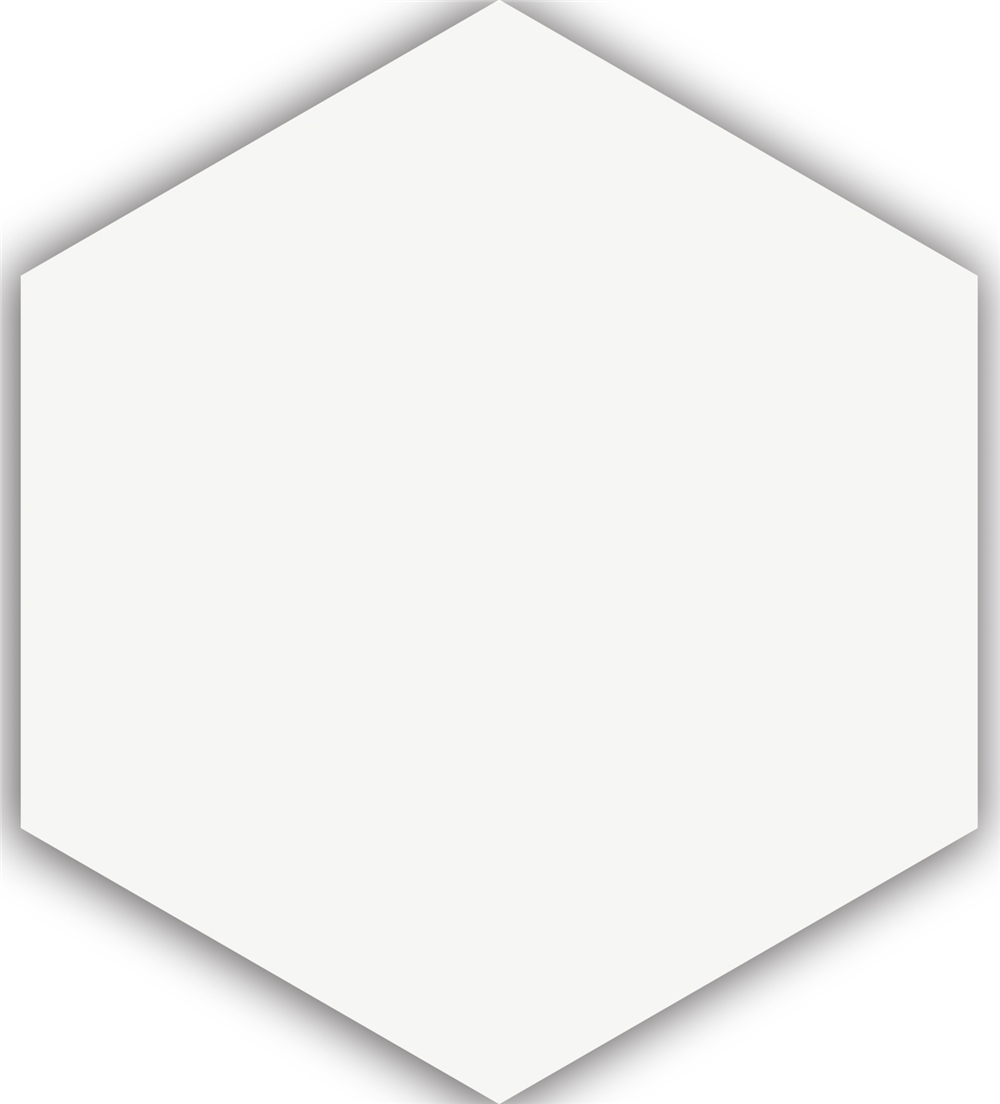 EGE Seramik Beyaz 23x26,5 cm Apini Granit (EGE.230X265APN01)