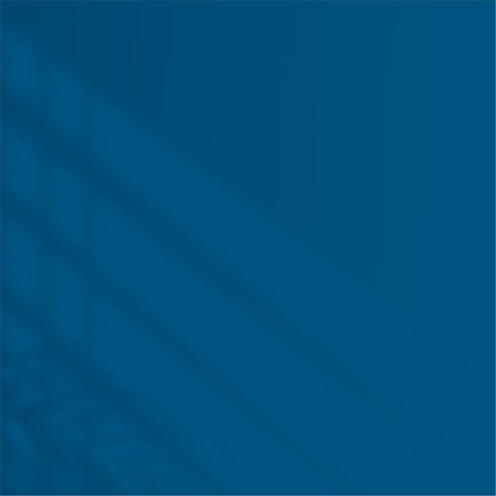 Marshall T4.43.26 1 Litre Silikonlu Özel Mat Su Bazlı İç Cephe Boyası (MARSHALL.5134336)