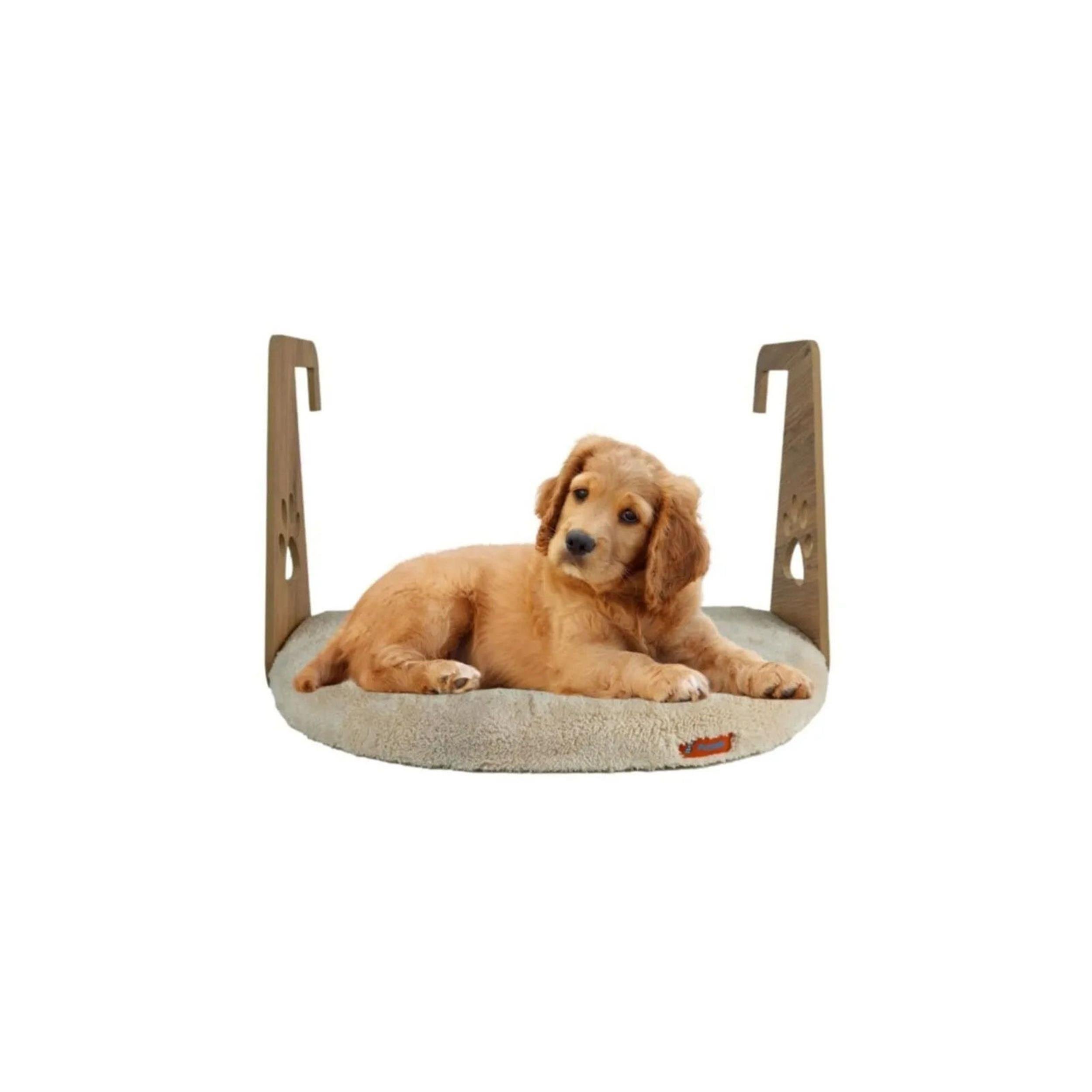 Pugalo Şampanya Kedi Petek Yatağı (PUGALO.00251)