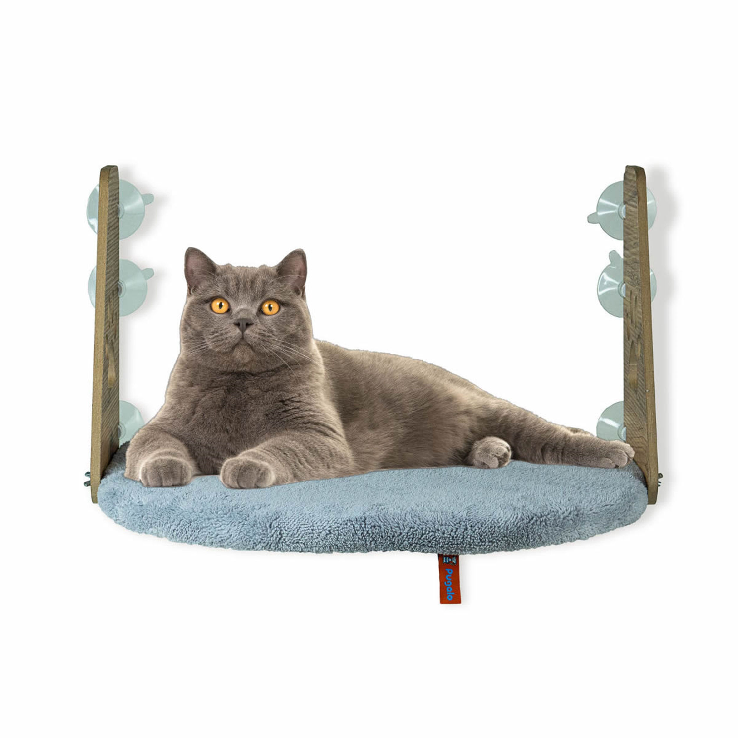Pugalo Gri Kedi Cam Yatağı (PUGALO.00322)