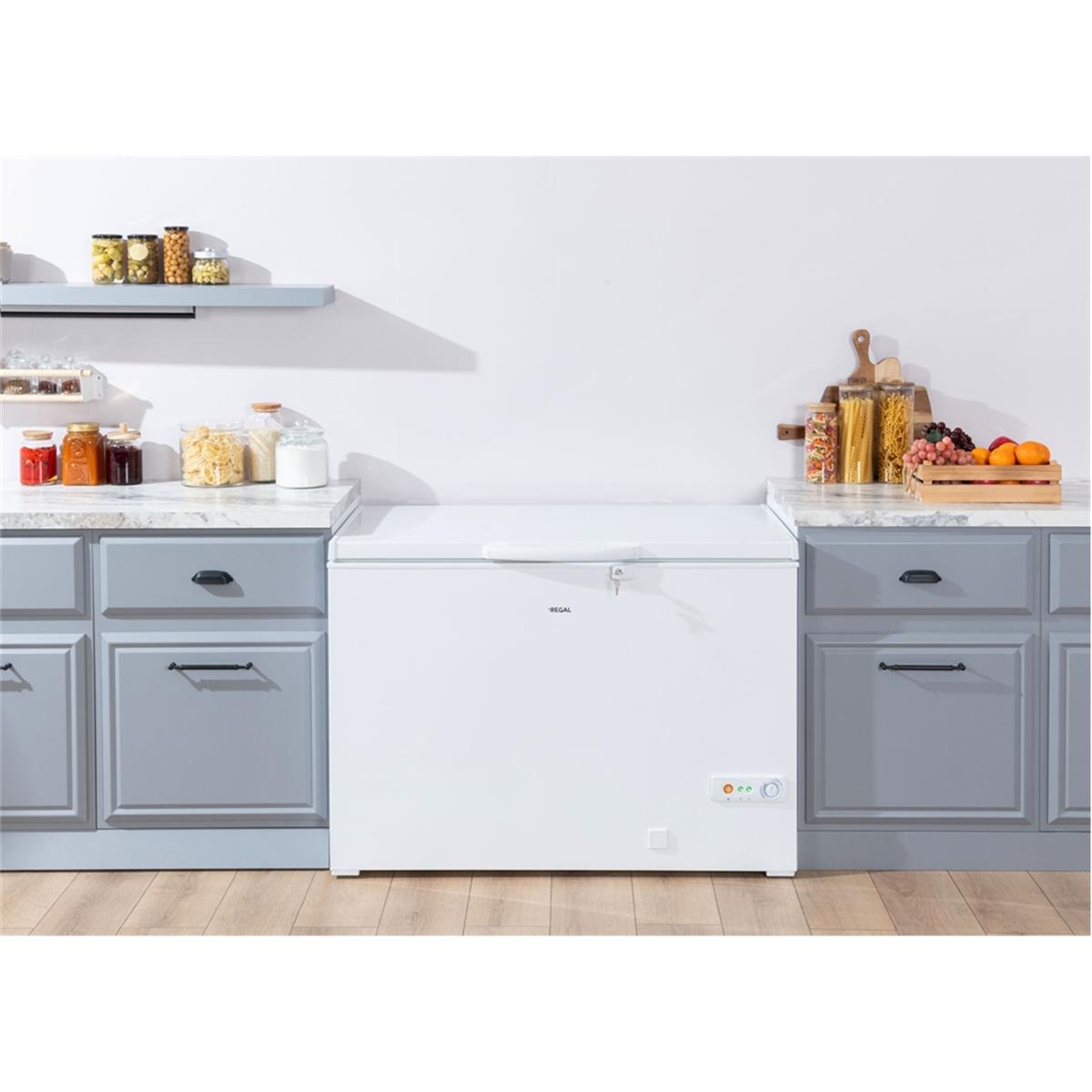 Regal SD Dual 4020 Sandık Tipi Derin Dondurucu (REGAL.20268404)