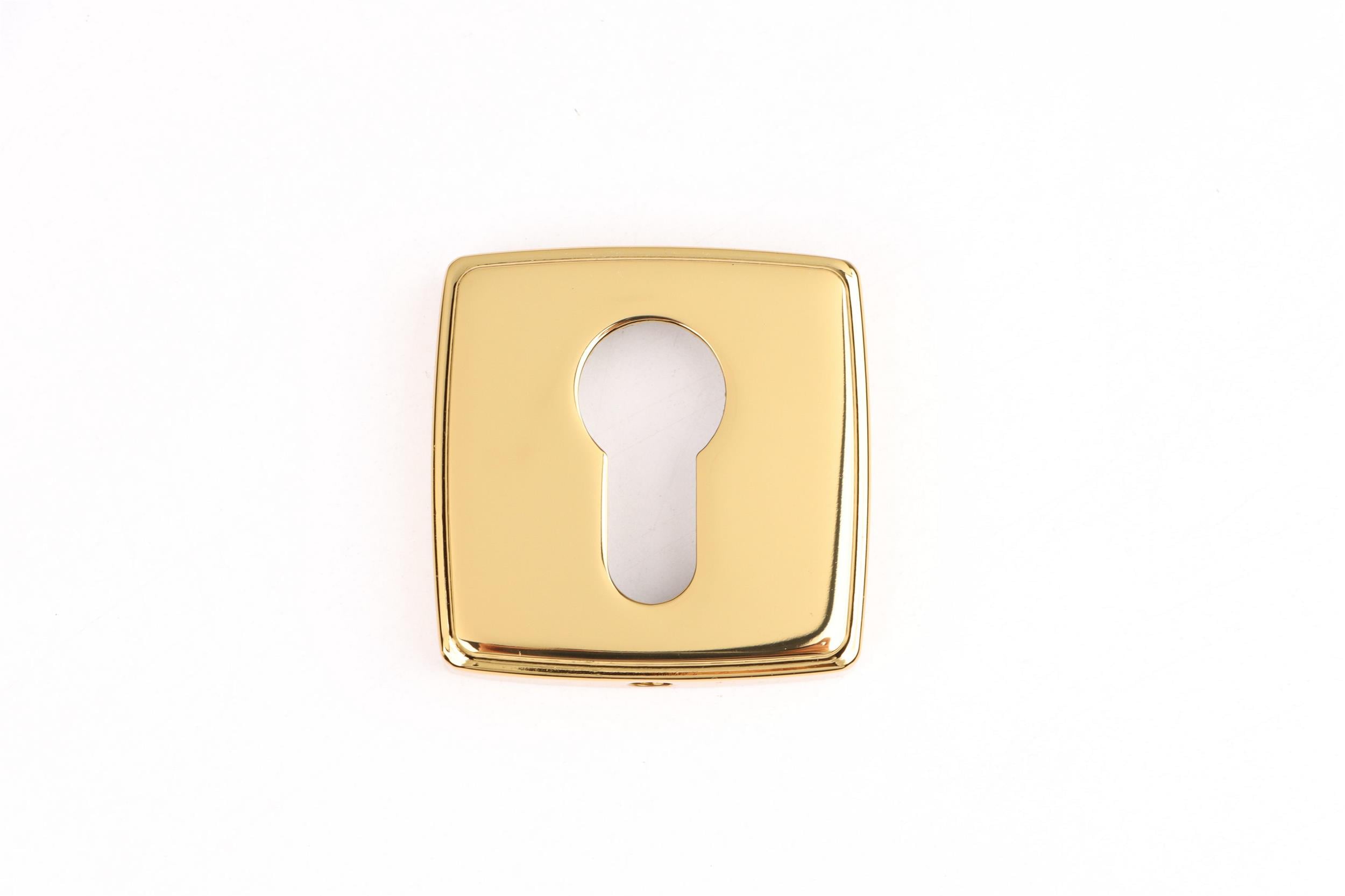 System Altın Yale Kapı Rozeti (RO13Y GL)