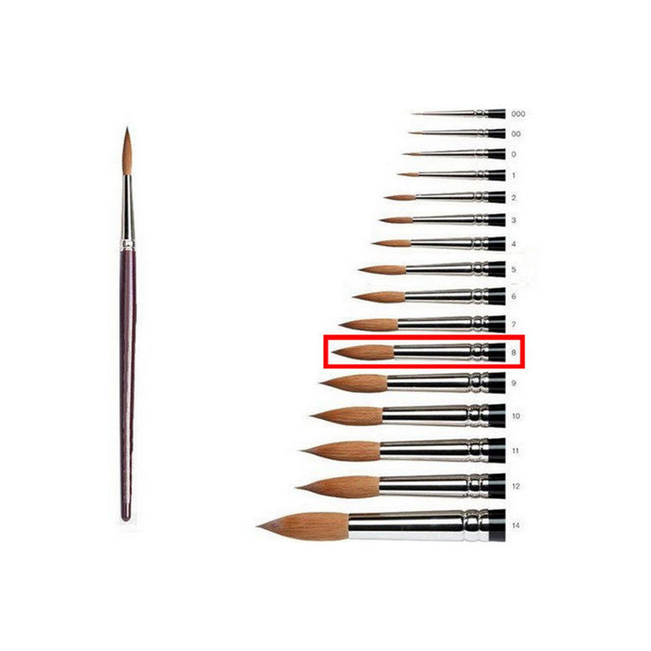 Samur 8 Numara Kalem Fırça (ZFR.KF08)