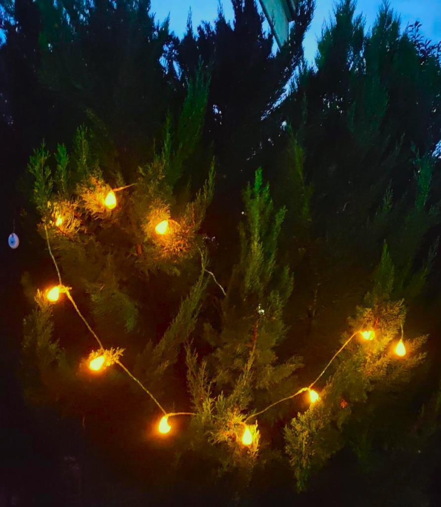 Deniz Kabuklu Pilli Dekoratif Led Işık Yılbaşı Süsü 2 Metre