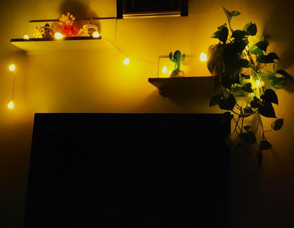 Deniz Kabuklu Pilli Dekoratif Led Işık Yılbaşı Süsü 2 Metre