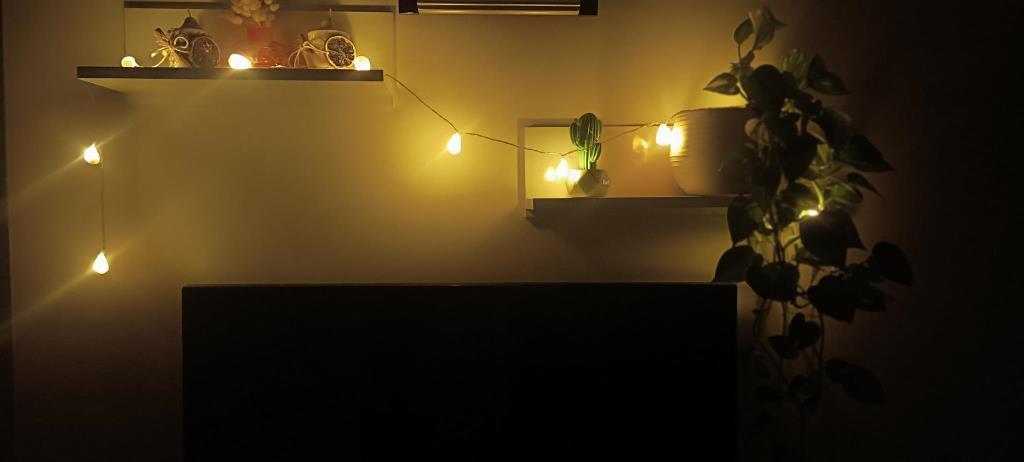 Deniz Kabuklu Pilli Dekoratif Led Işık Yılbaşı Süsü 2 Metre