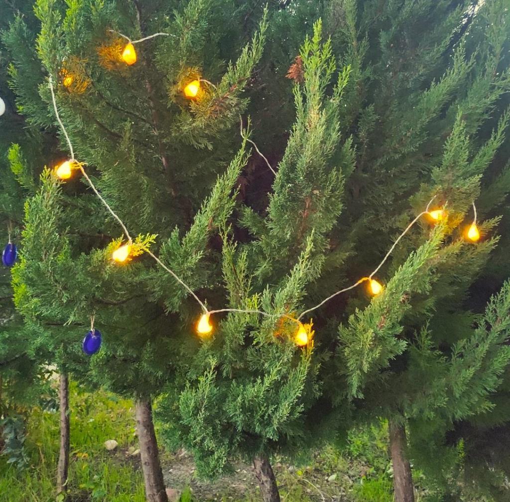 Deniz Kabuklu Pilli Dekoratif Led Işık Yılbaşı Süsü 2 Metre