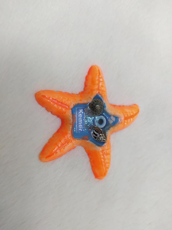 Turuncu Deniz Yıldızı Tasarım Epoksi Mıknatıslı Magnet Kemer Yazılı Buzdolabı Süsü