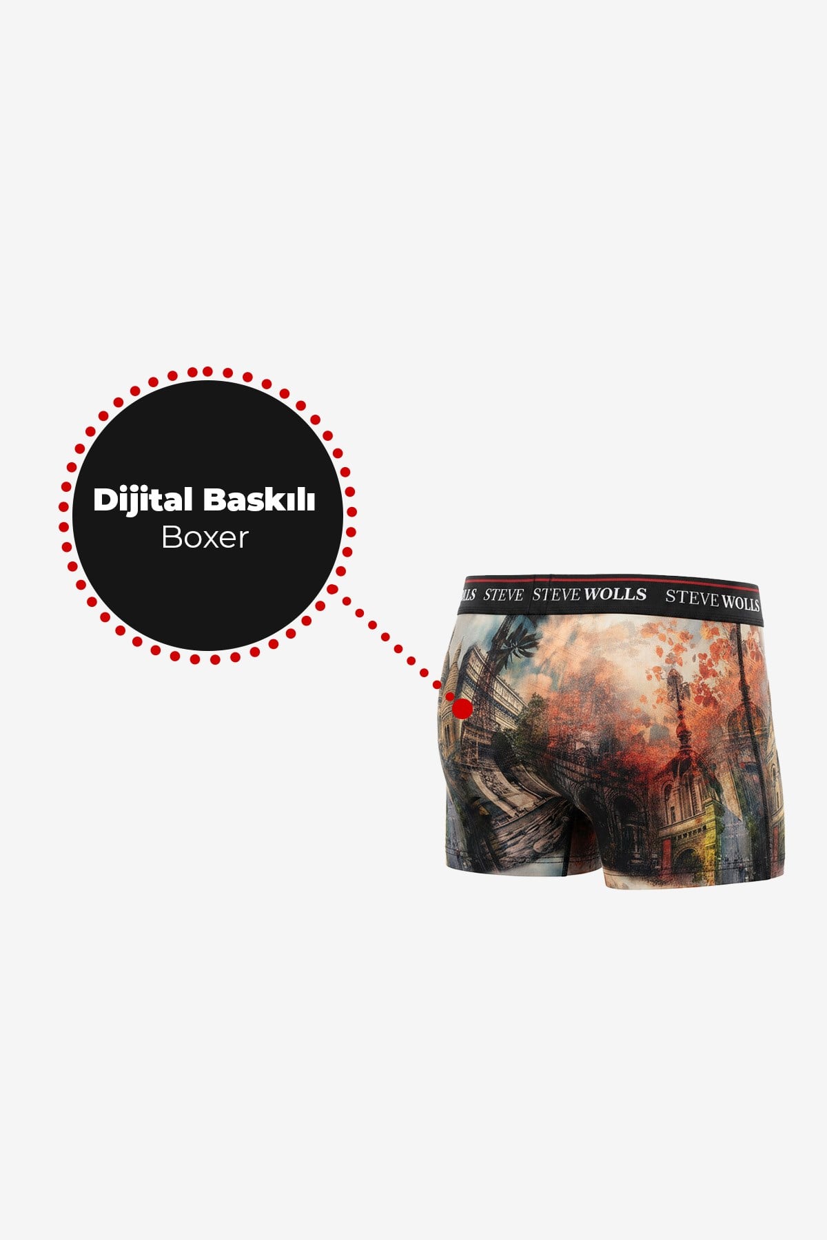 Erkek Karışık Desenli 3'lü Dijital Baskı Boxer - 1101