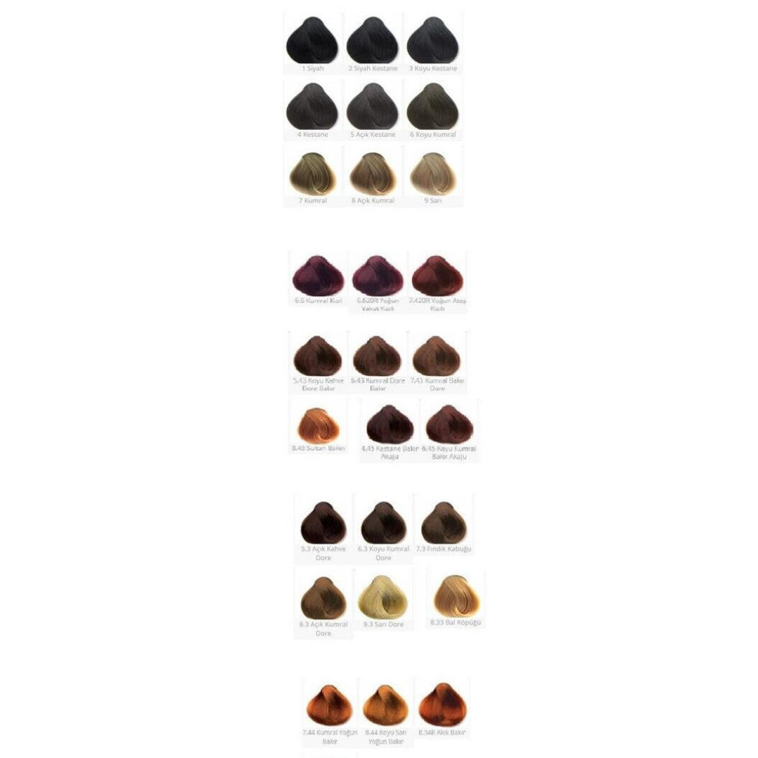 Colormax Tüp Boya 60ml. 4-20 Patlıcan Moru