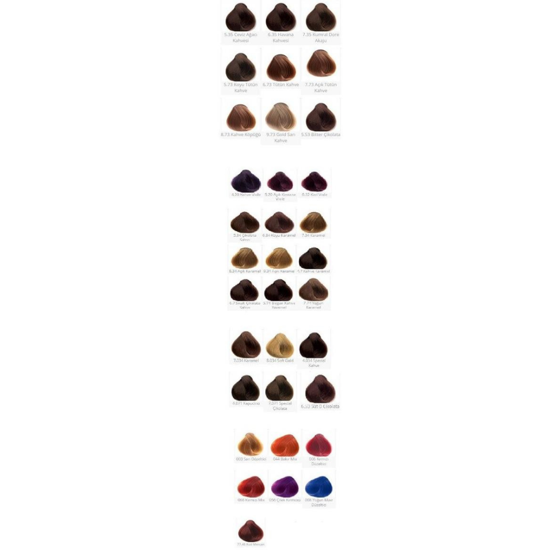 Colormax Tüp Boya 60ml. 4-20 Patlıcan Moru