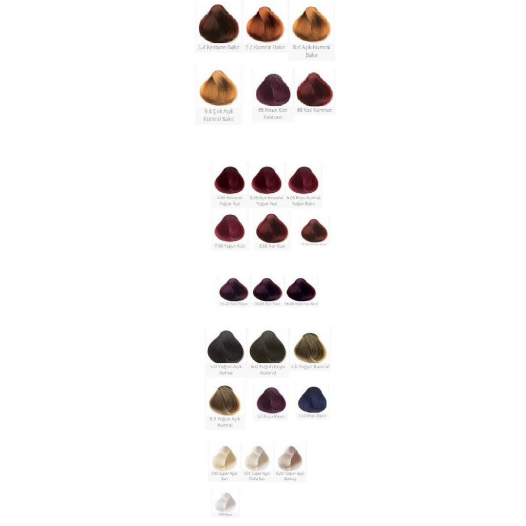 Colormax Tüp Boya 60ml. 4-20 Patlıcan Moru