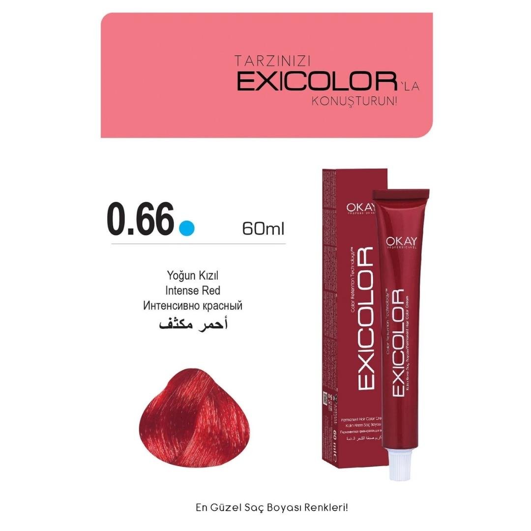 Exıcolor Tüp Boya 0-66