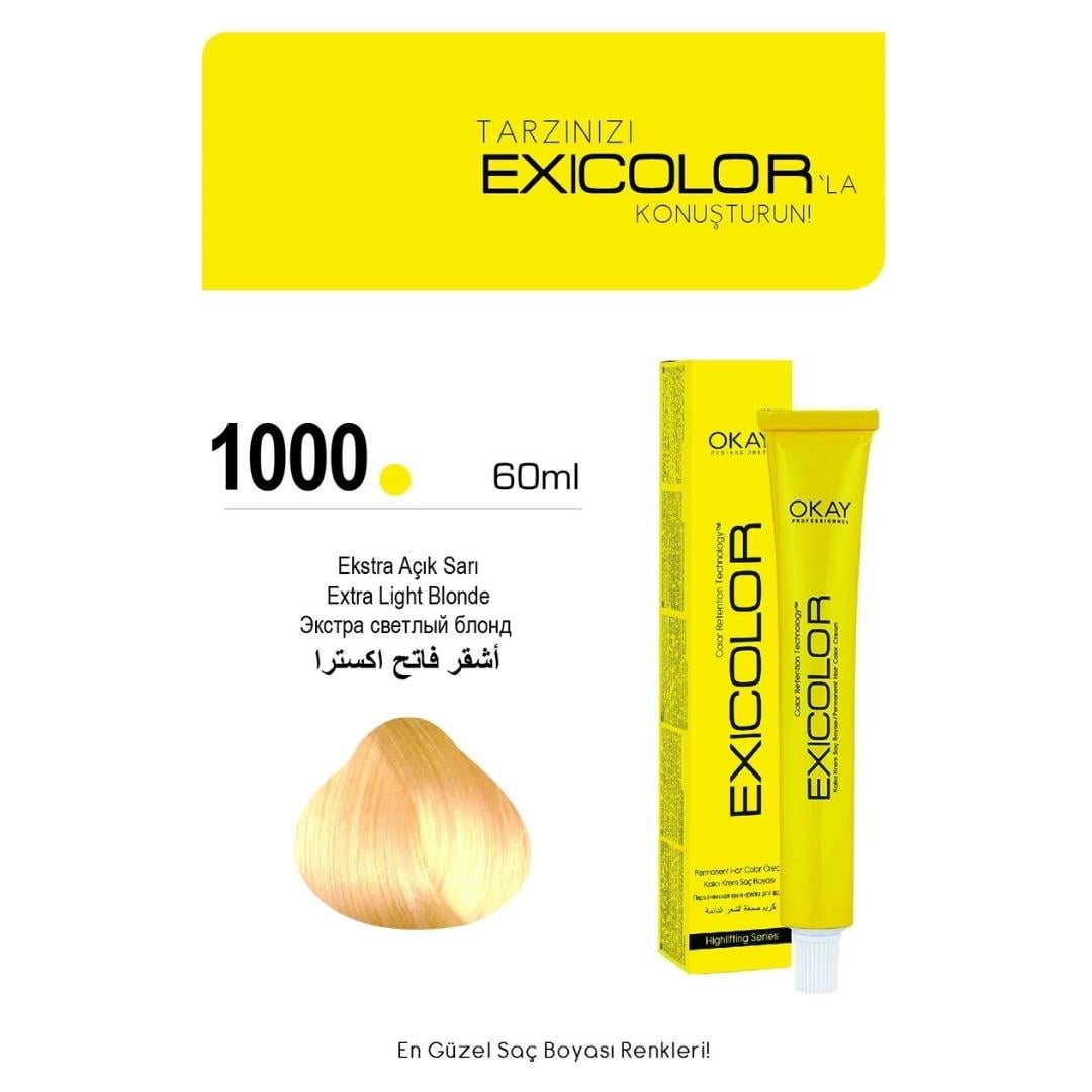 Exıcolor Tüp Boya 1000