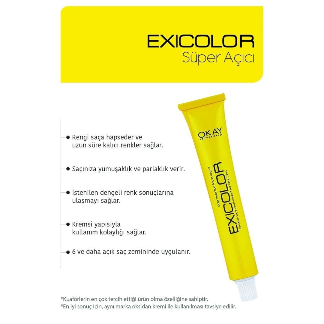Exıcolor Tüp Boya 1000