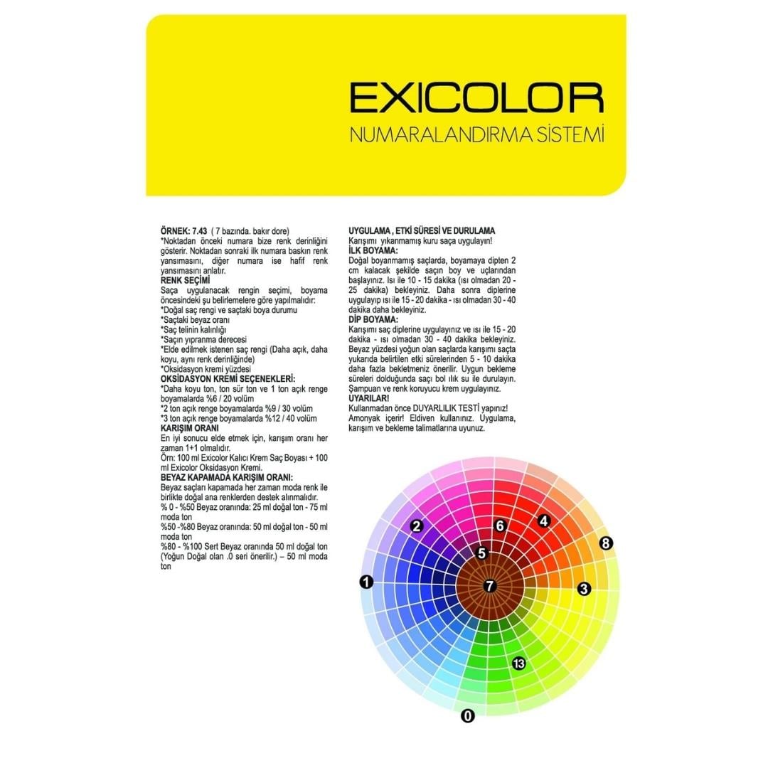 Exıcolor Tüp Boya 1002