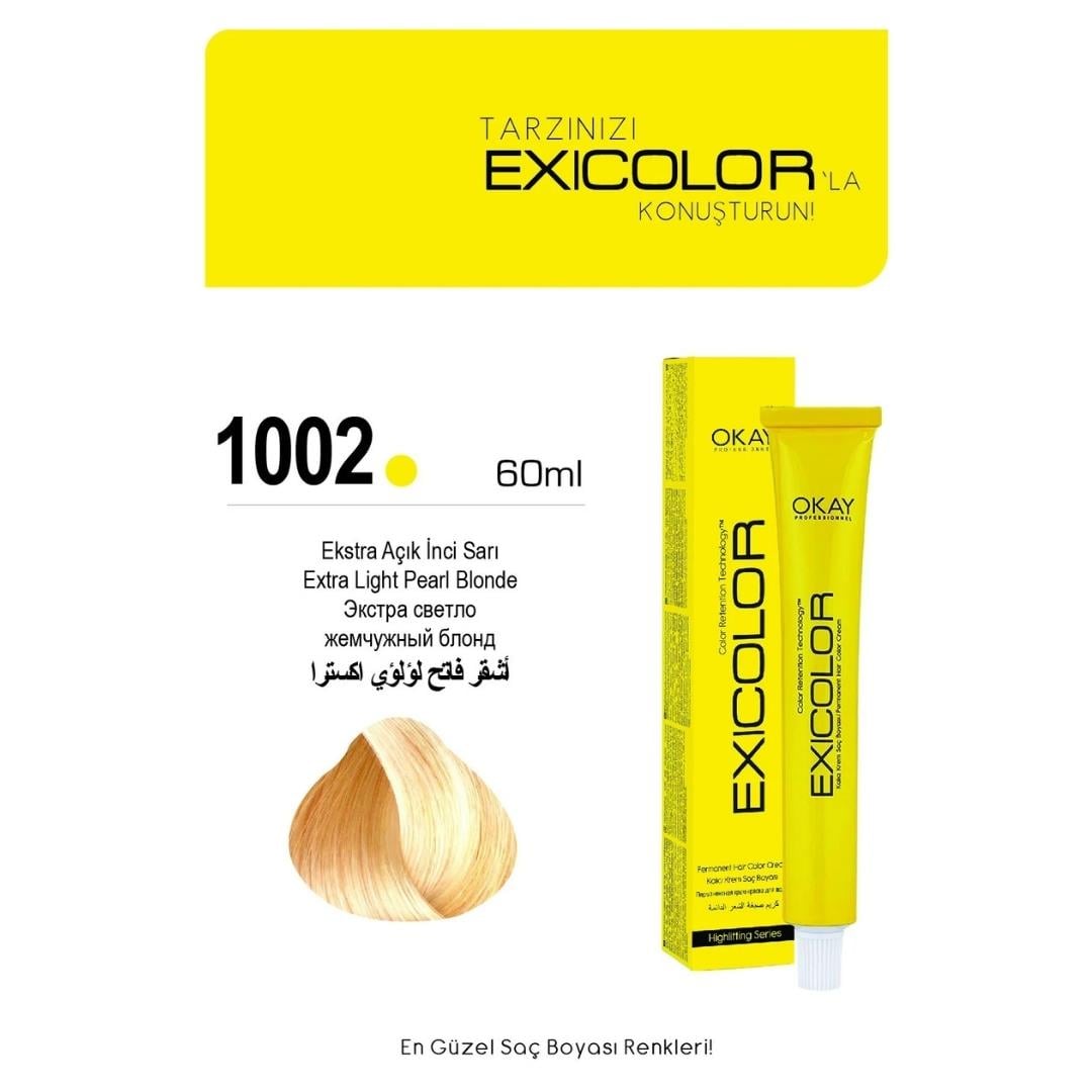 Exıcolor Tüp Boya 1002