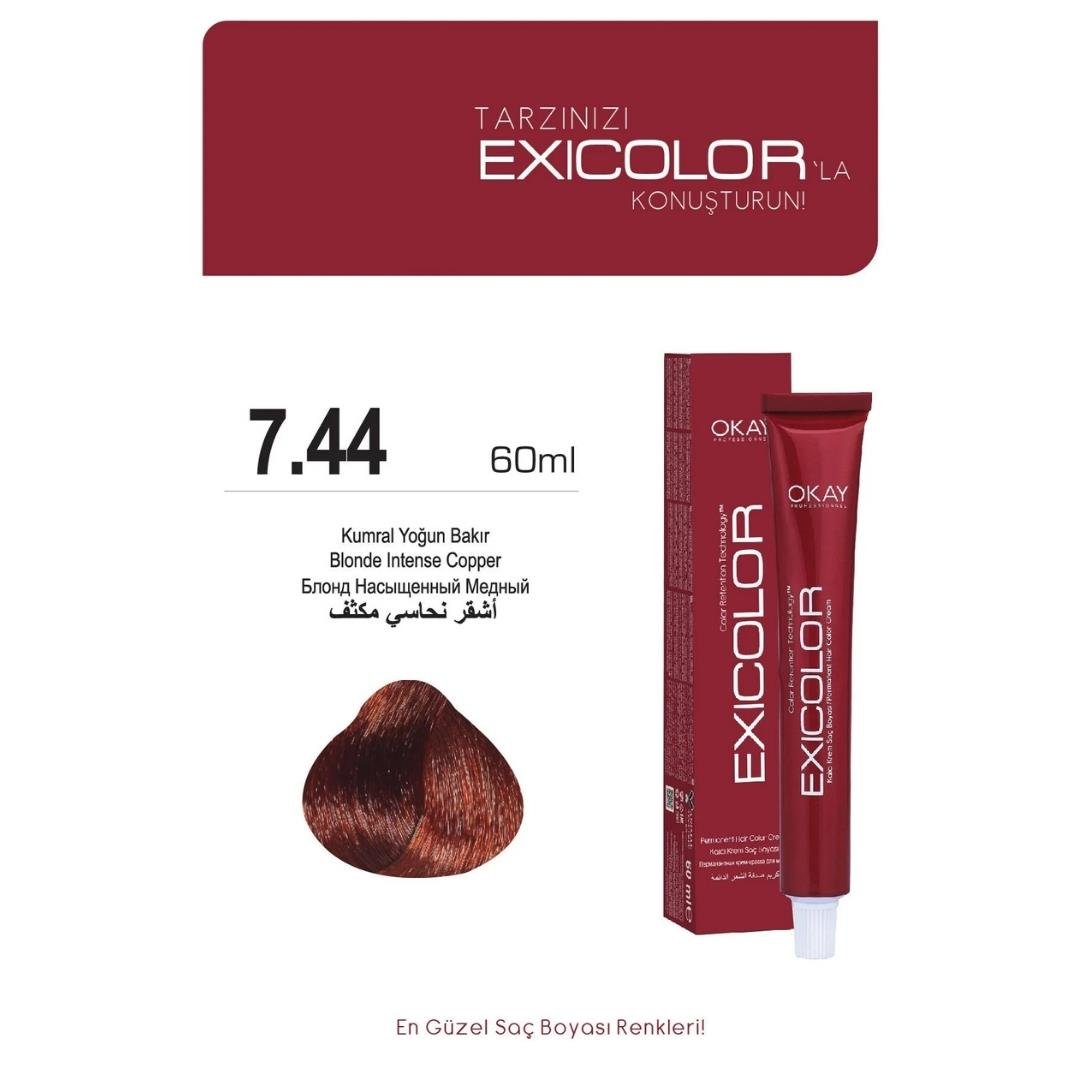 Exıcolor Tüp Boya 7-44