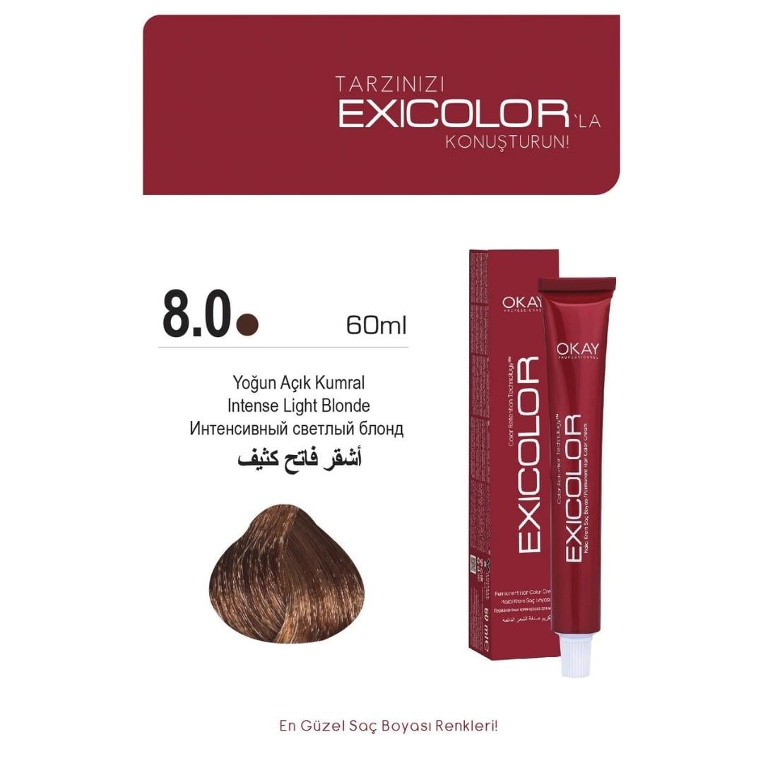 Exıcolor Tüp Boya 8-0