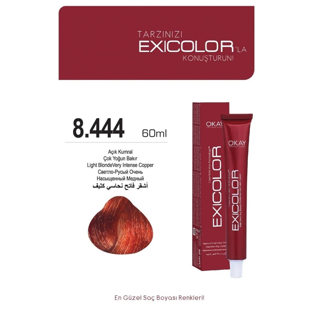 Exıcolor Tüp Boya 8-444