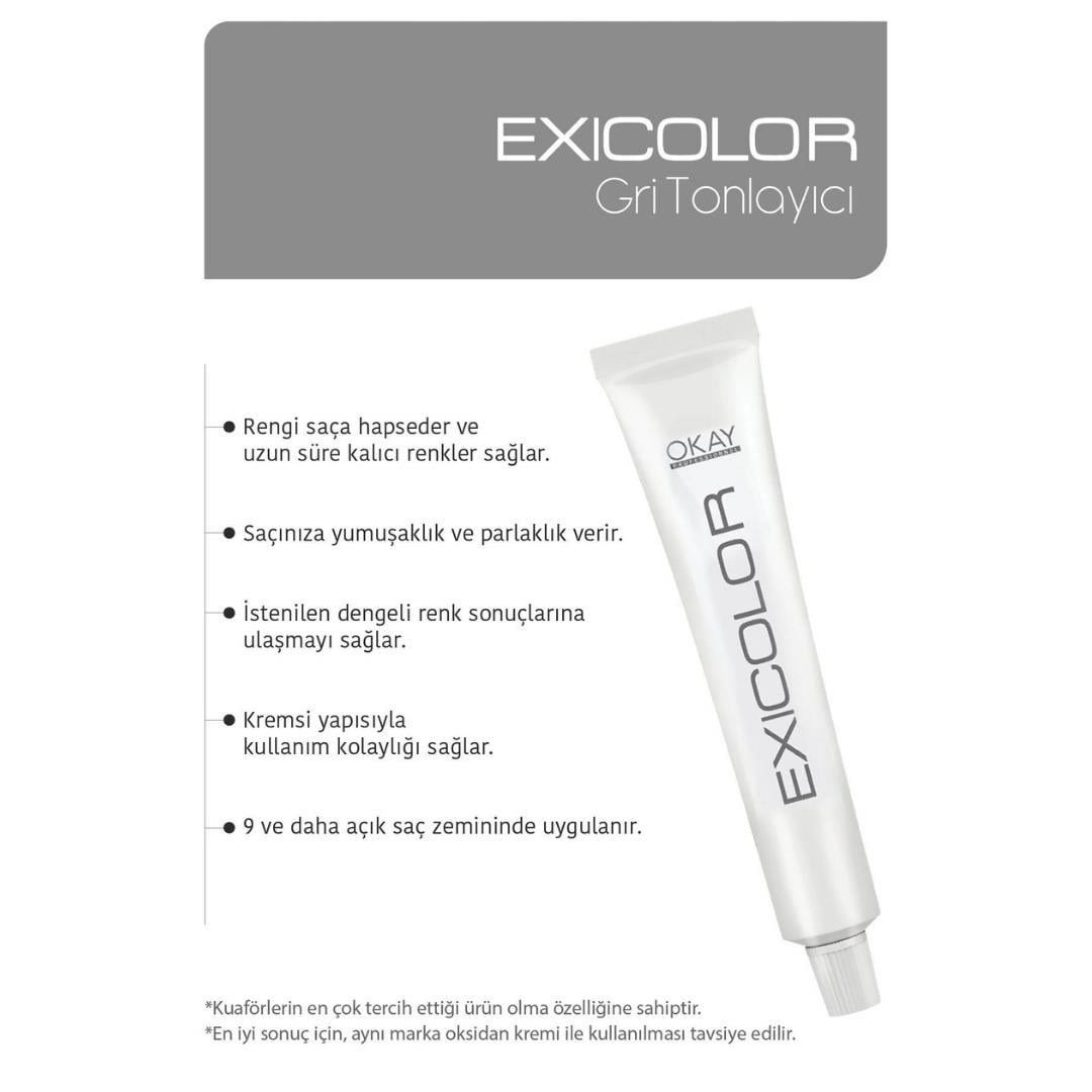 Exıcolor Tüp Boya Sılver Dream (Gümüs Rüya)