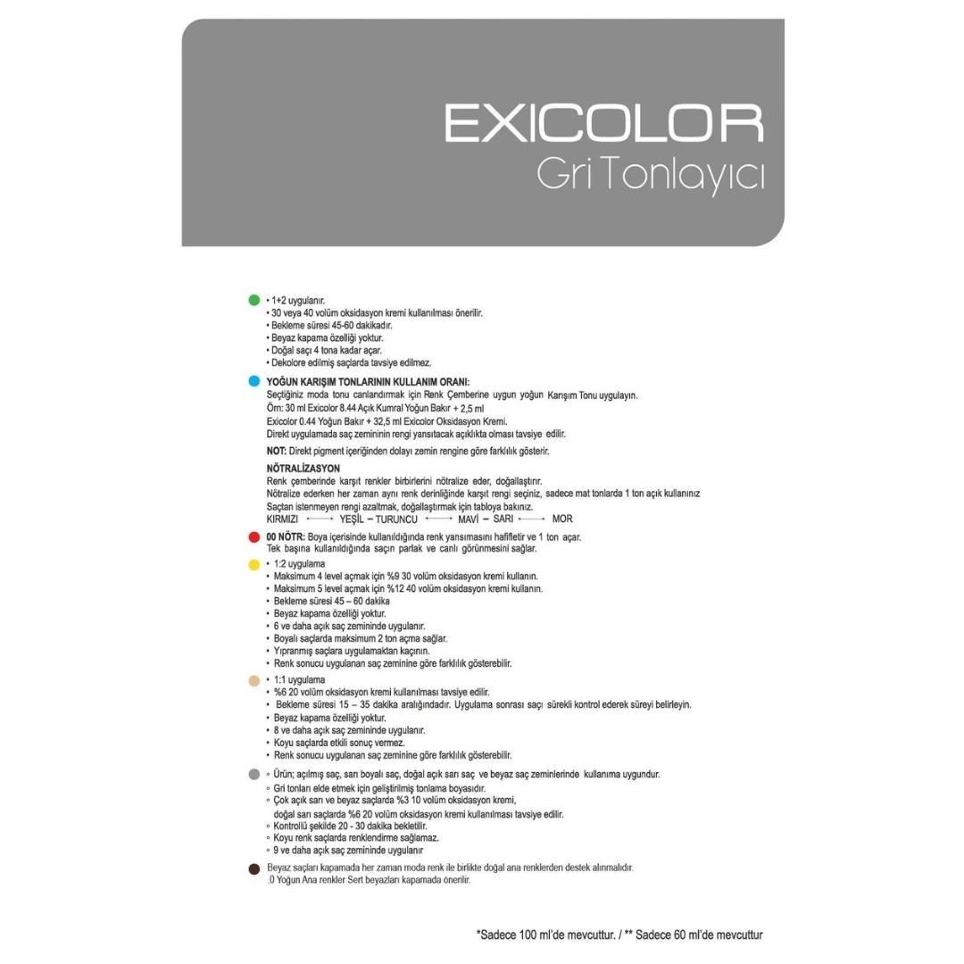 Exıcolor Tüp Boya Sılver Dream (Gümüs Rüya)