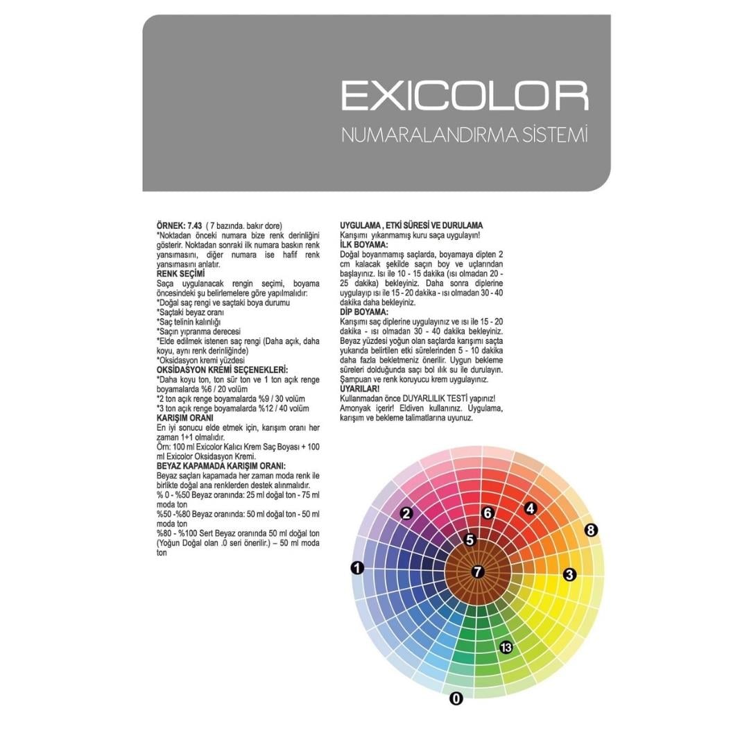 Exıcolor Tüp Boya Sılver Dream (Gümüs Rüya)