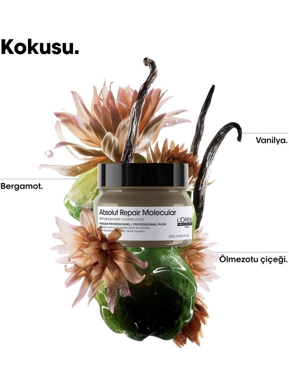 Loreal Saç Maskesi 250ml. SEII Absolut Repair Mol.
