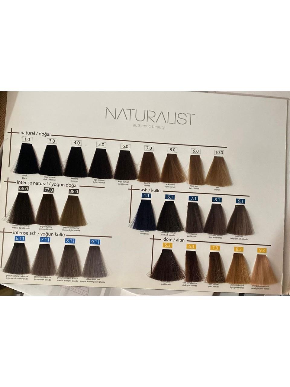 Naturalist Tüp Boya 150ml. 12-00 Platin