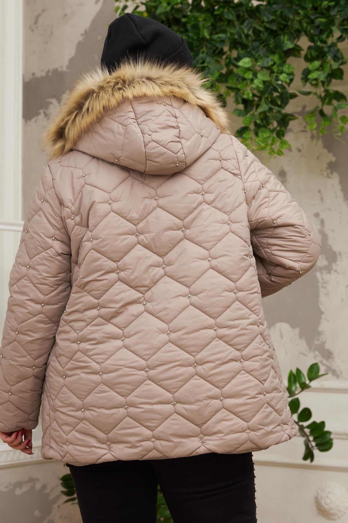 MONT   44-50