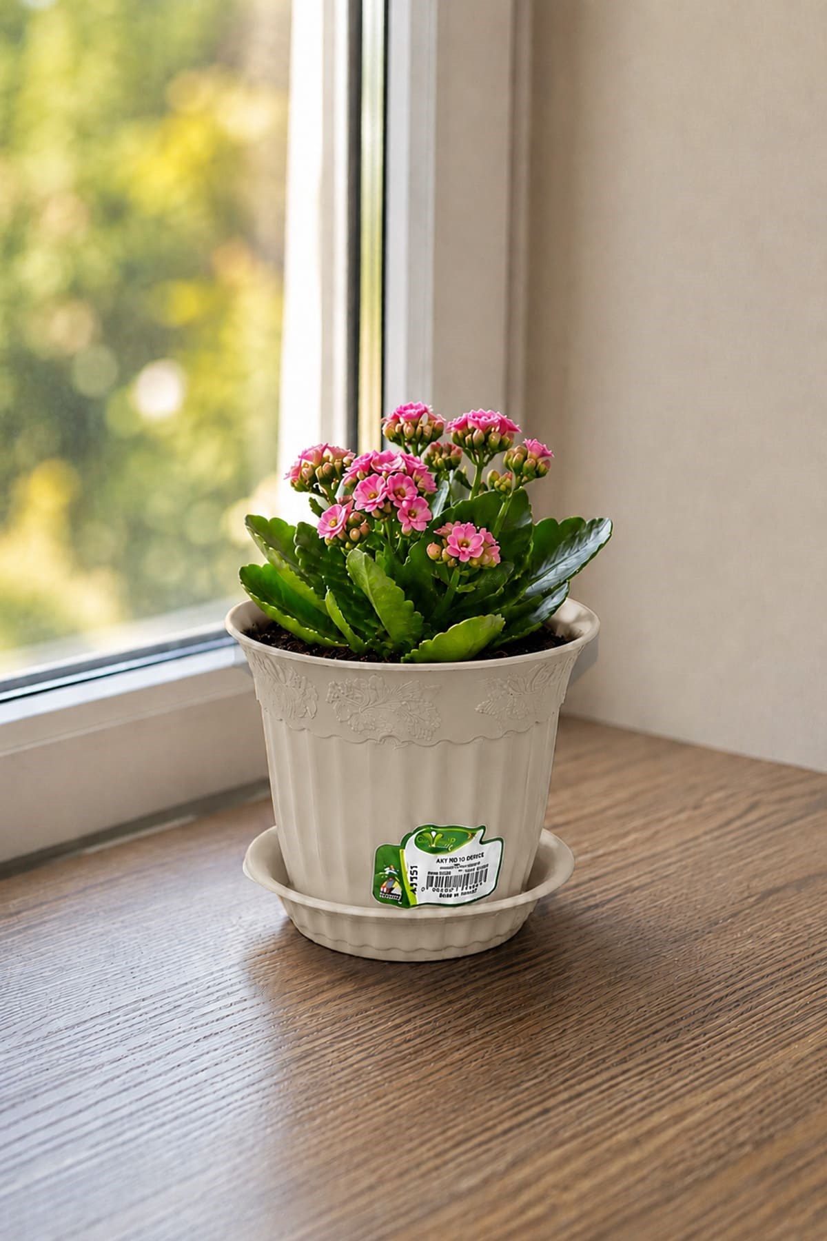 Irak Garden Flowers  AS151 Renkli Dekoratif Antik Saksı 1.1 Litre