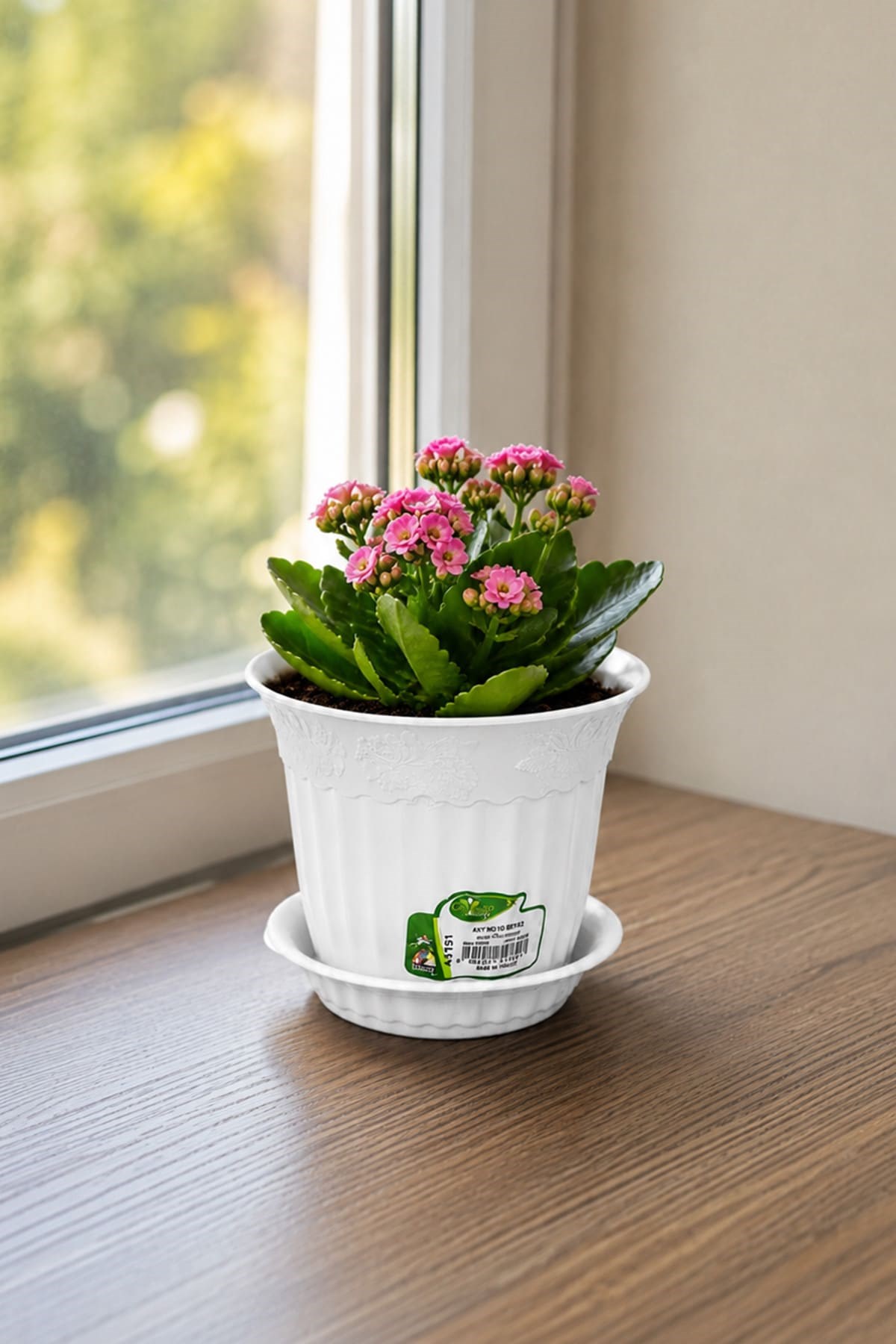 Irak Garden Flowers  AS151 Renkli Dekoratif Antik Saksı 1.1 Litre
