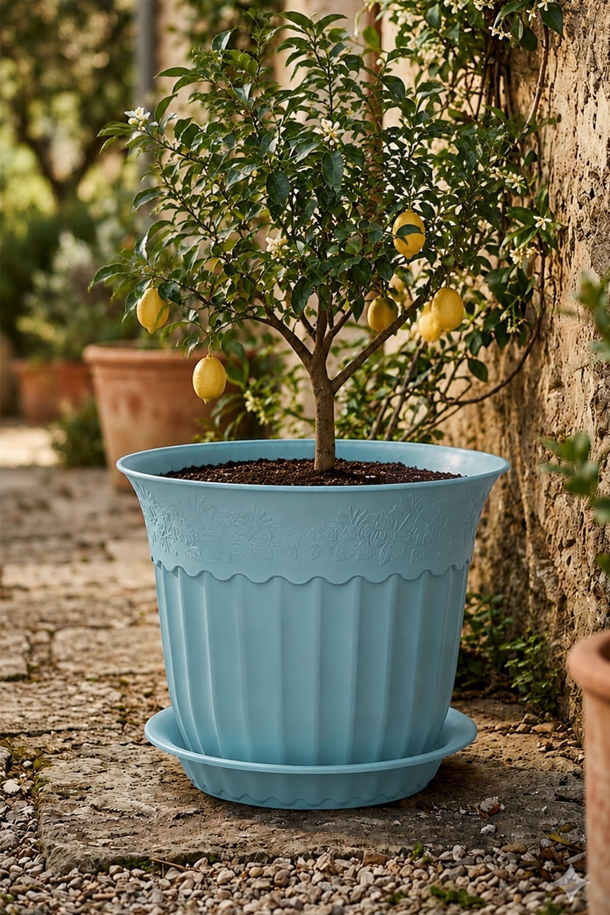 Irak Garden Flowers AS156 Renkli Dekoratif Antik Saksı 16.75 Litre