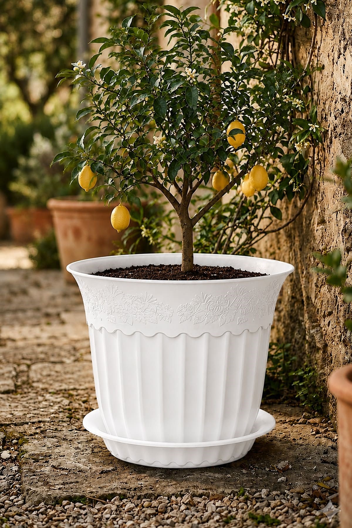 Irak Garden Flowers AS156 Renkli Dekoratif Antik Saksı 16.75 Litre