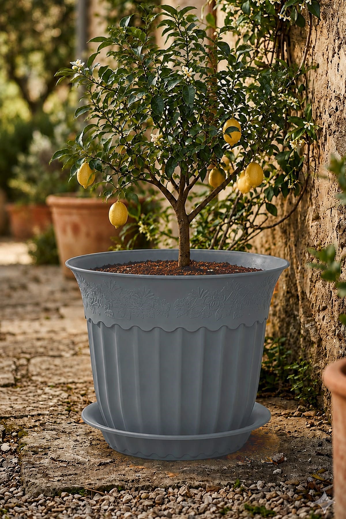 Irak Garden Flowers AS156 Renkli Dekoratif Antik Saksı 16.75 Litre