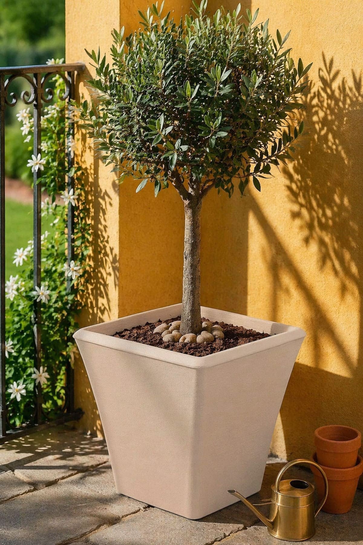 Poliwork Begonvil 38 SQ Bahçe ve Balkon Saksı 23 Litre