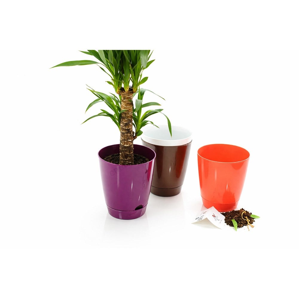 Şenyayla 5420 Decora Saksı No:4 - 6 Litre