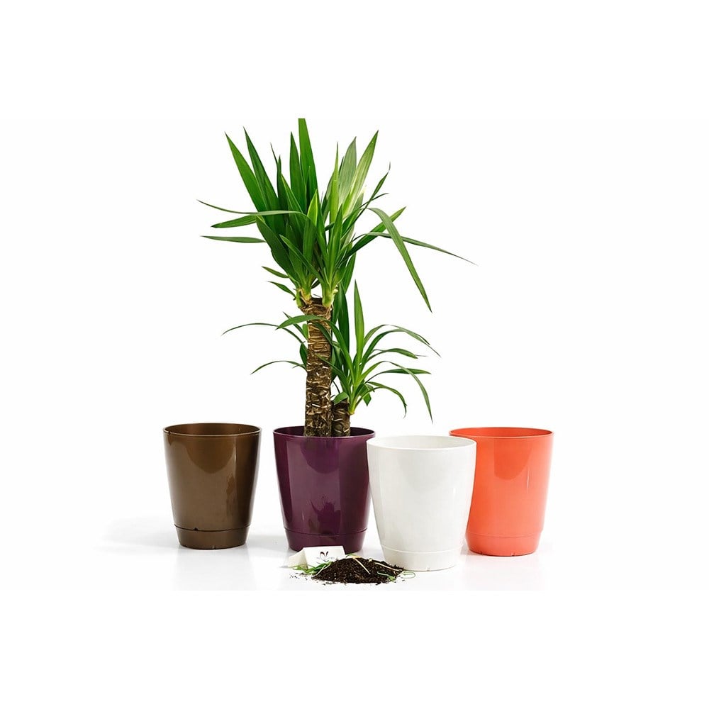 Şenyayla 5420 Decora Saksı No:4 - 6 Litre