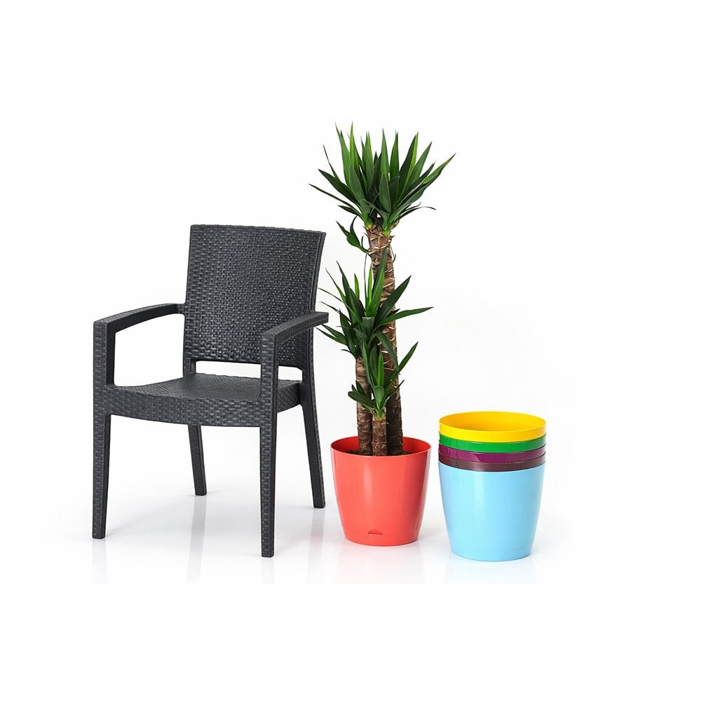Şenyayla 5430 Decora Saksı No:6 - 15 Litre