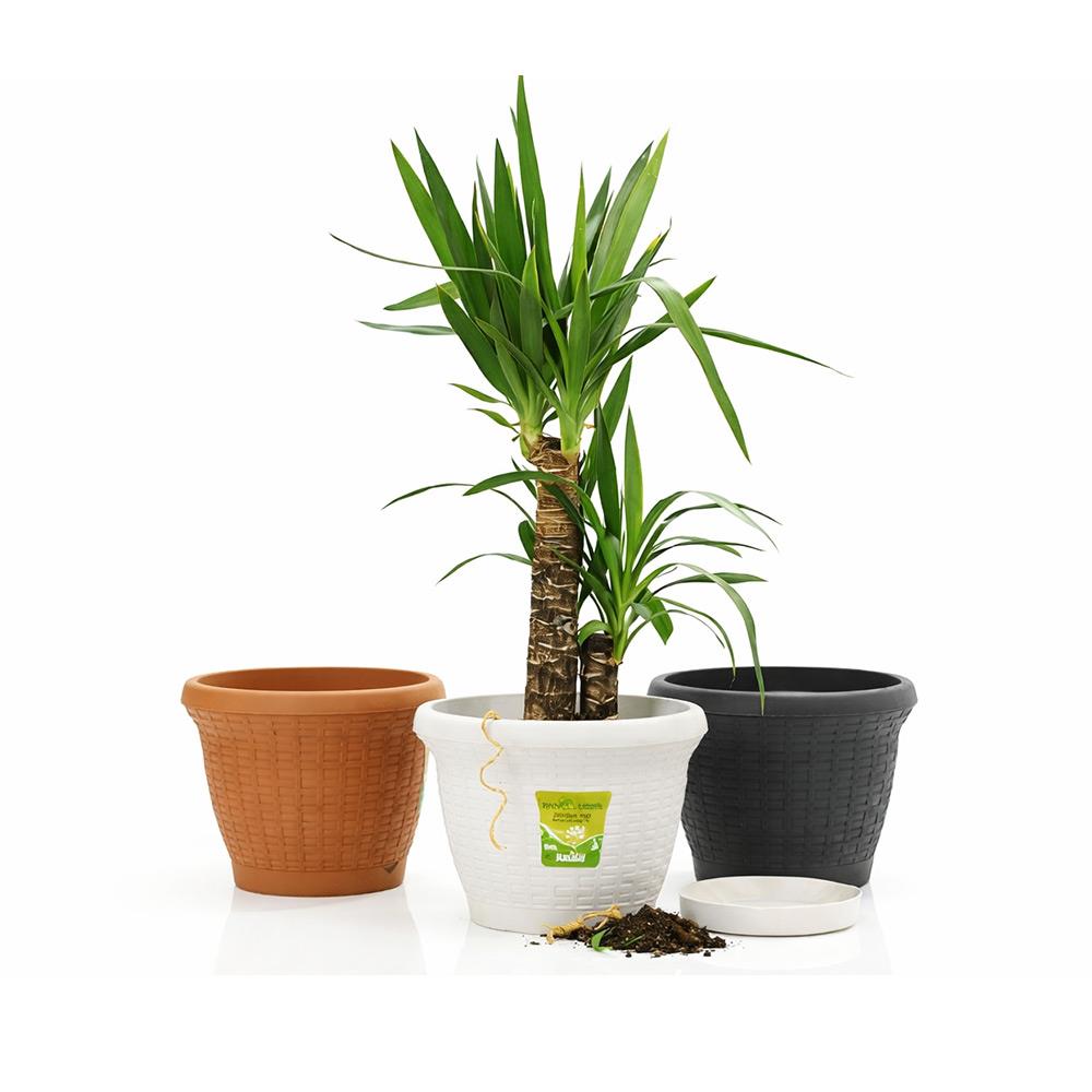 Serinova HS03 Hasır Saksı 10 Litre