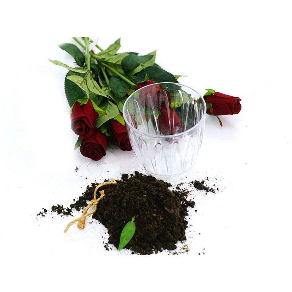 Serinova OR01 Şeffaf Orkide Kabı 0.7 Litre