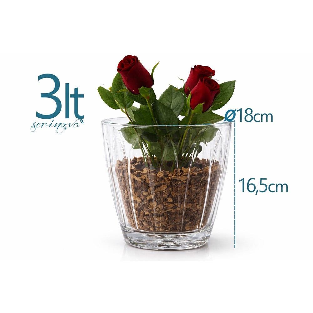 Serinova OR03 Şeffaf Orkide Kabı 3 Litre