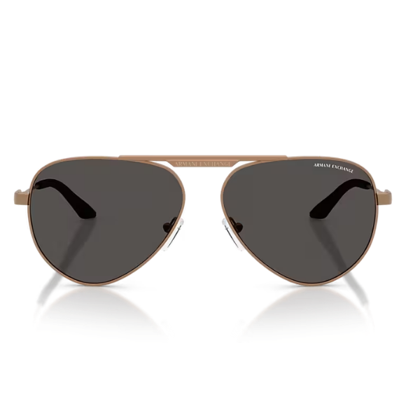 ARMANI EXCHANGE 0AX2060S 610687 58