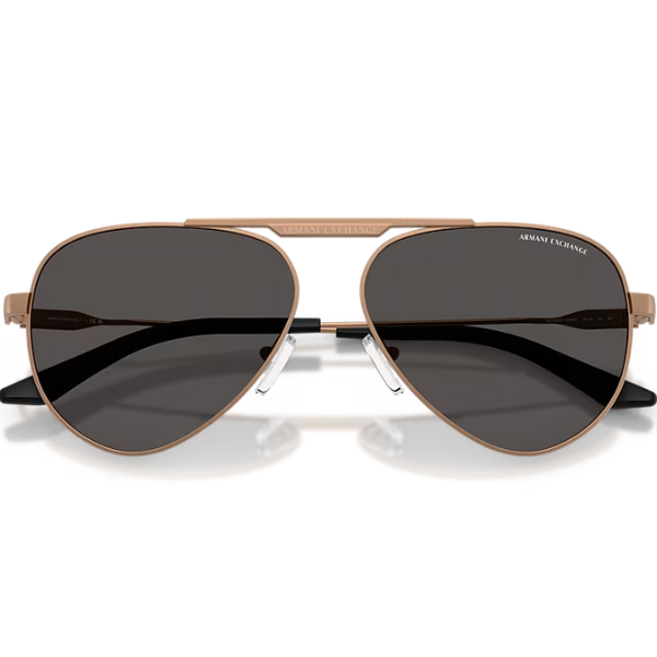 ARMANI EXCHANGE 0AX2060S 610687 58