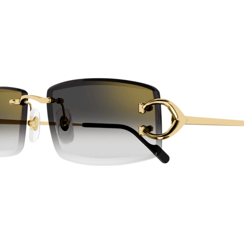 CARTIER CT0465S 001 56